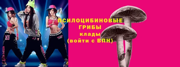 амф Новозыбков