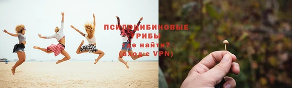амф Новозыбков