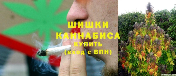 mdpv Новодвинск