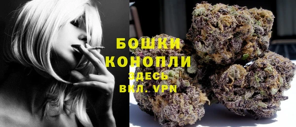 амф Новозыбков