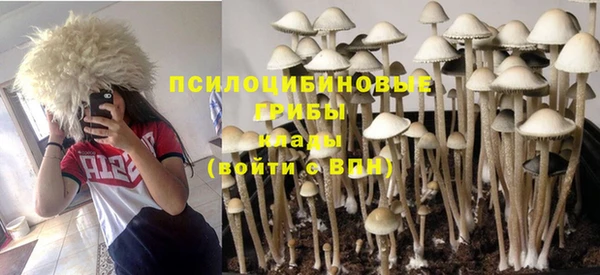 jwh Нязепетровск