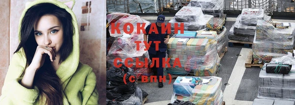 амф Новозыбков