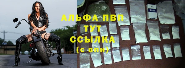 амф Новозыбков