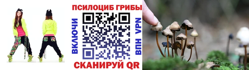 купить   Краснослободск  Псилоцибиновые грибы прущие грибы 